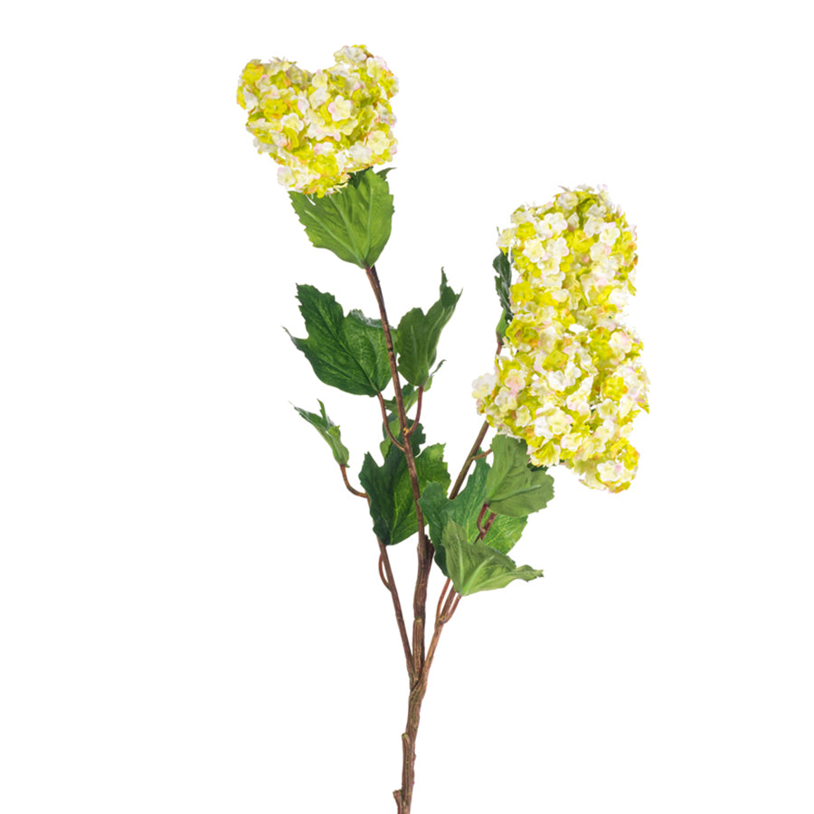 Lg Snowball X 3 Green Vine + Branch Florist